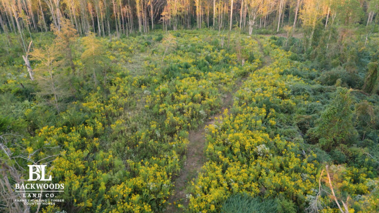 hayes leak county pics16