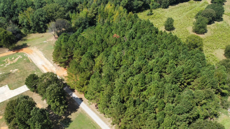 DCIM102MEDIADJI_0081