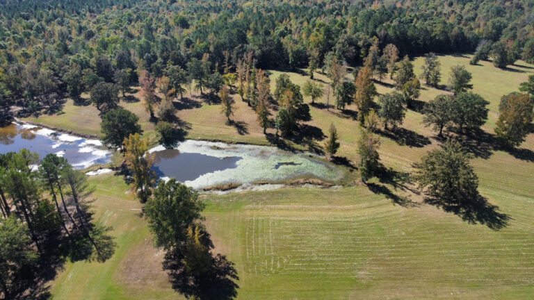 DCIM102MEDIADJI_0131