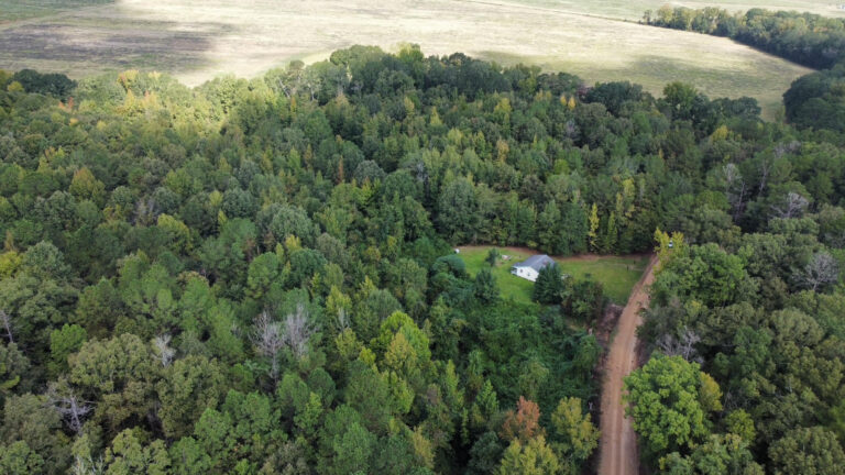 DCIM102MEDIADJI_0085