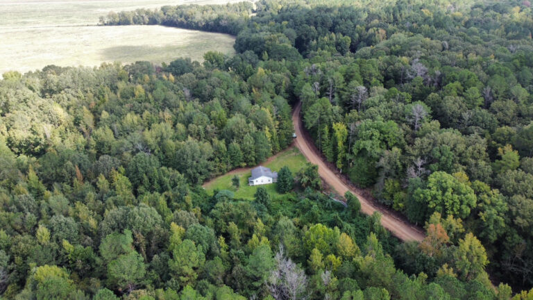 DCIM102MEDIADJI_0086