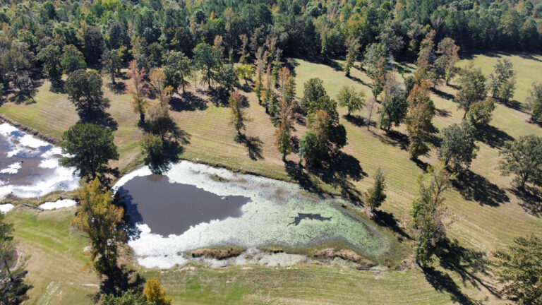 DCIM102MEDIADJI_0132