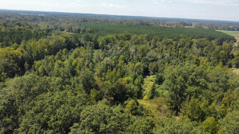 DCIM102MEDIADJI_0076