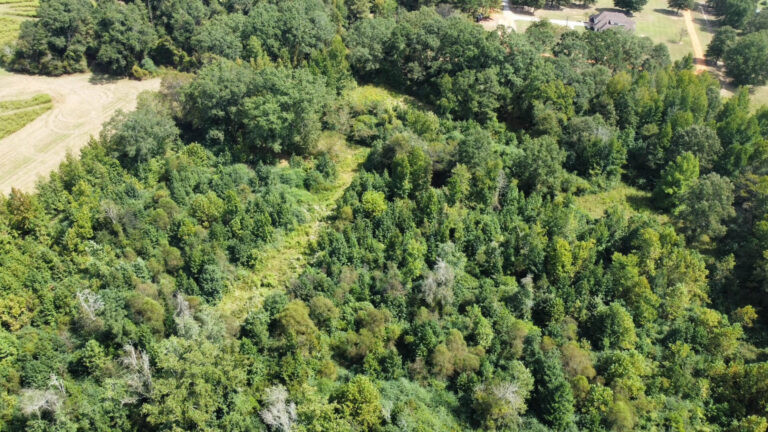 DCIM102MEDIADJI_0079