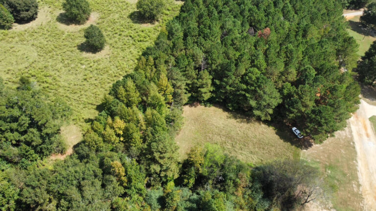 DCIM102MEDIADJI_0080