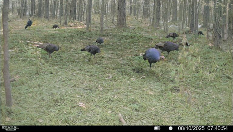 Screenshot 2025-10-28 103523