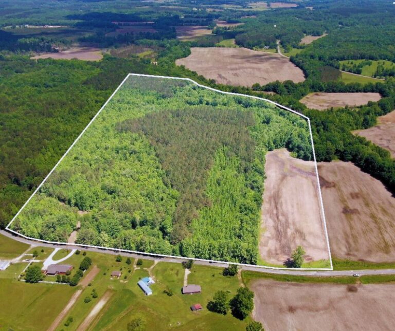 Untitled design(100)