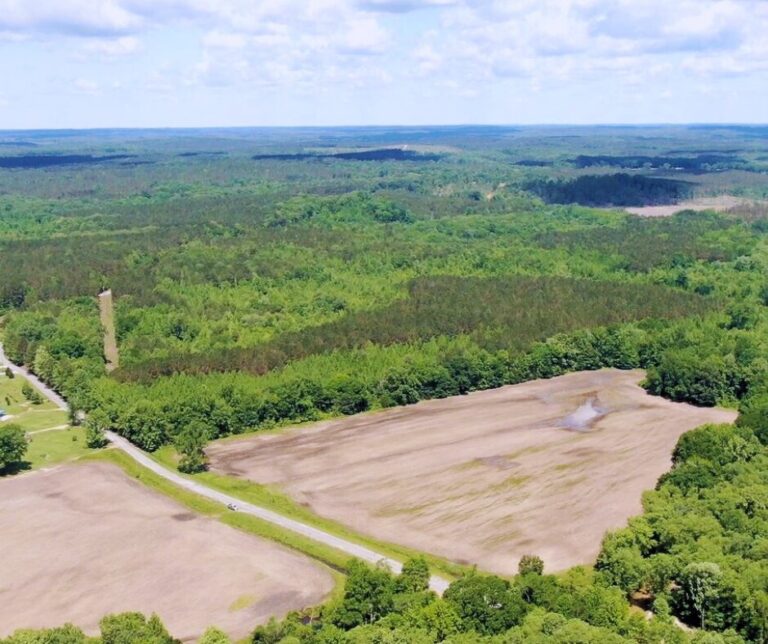 Untitled design(101)