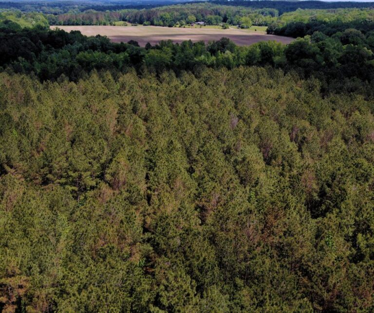 Untitled design(103)