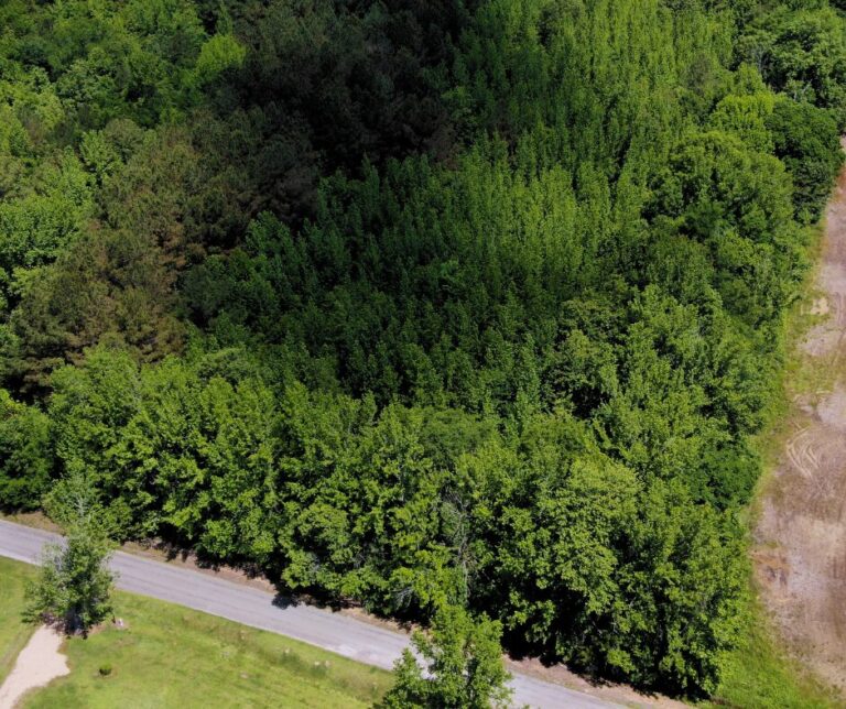 Untitled design(104)