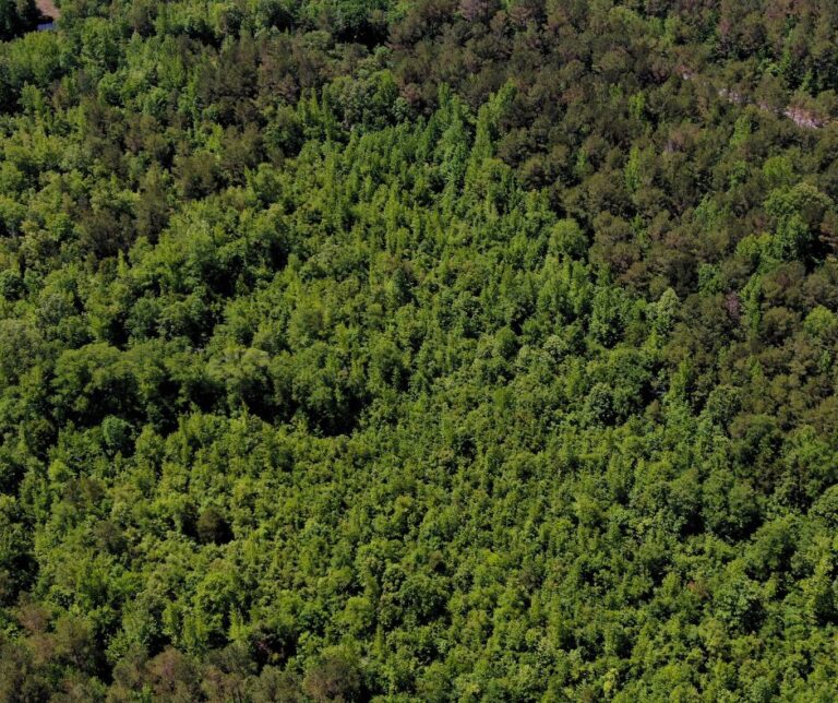 Untitled design(108)