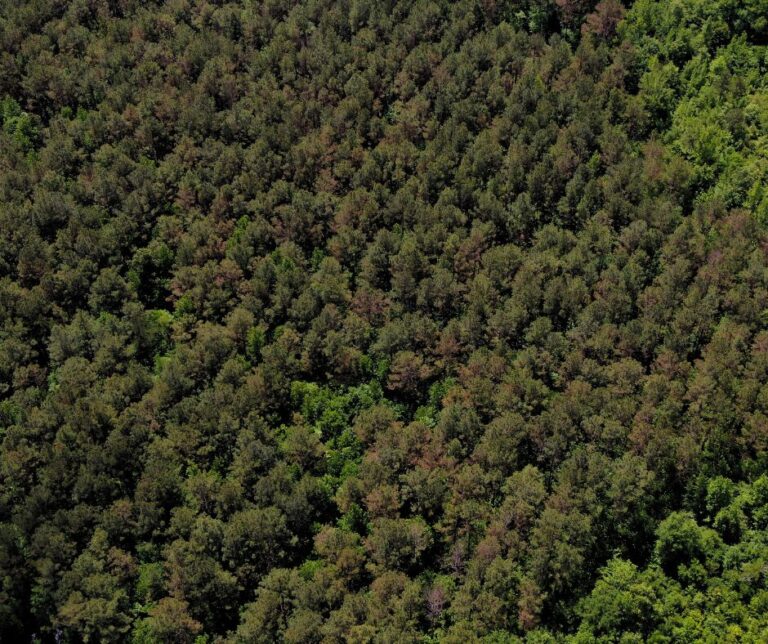 Untitled design(109)