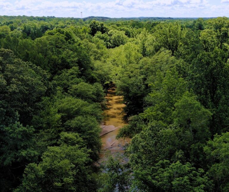 Untitled design(113)