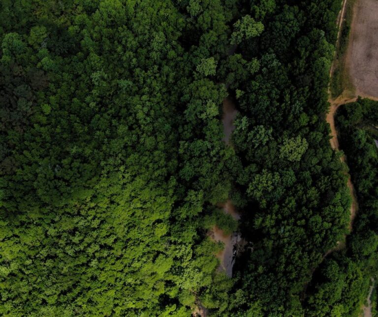 Untitled design(115)