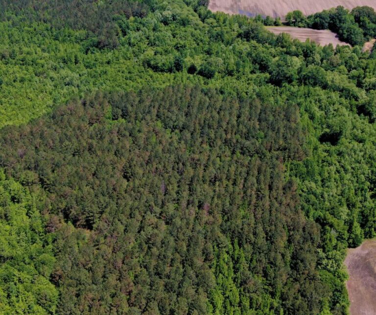 Untitled design(116)