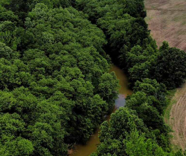 Untitled design(118)