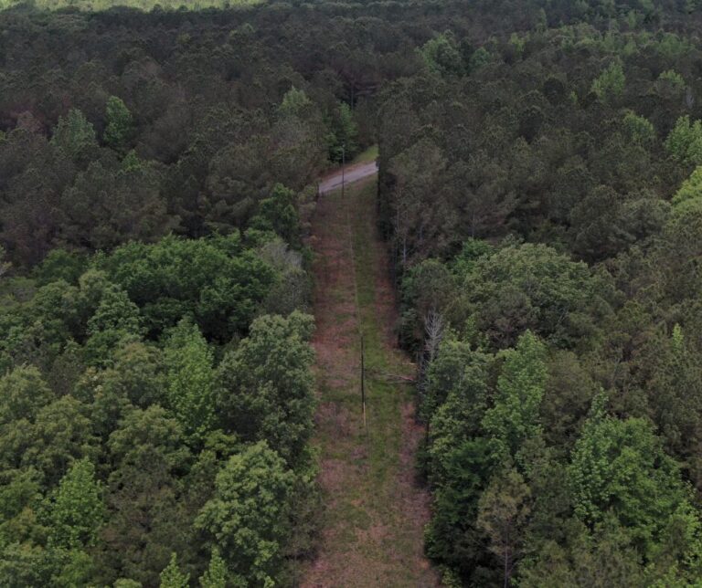 Untitled design(119)