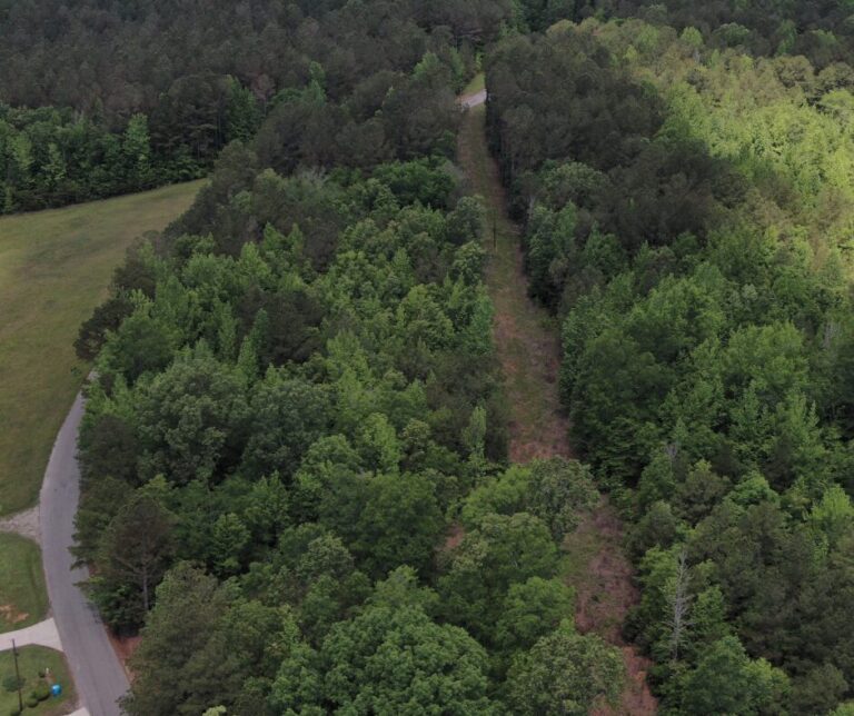 Untitled design(121)