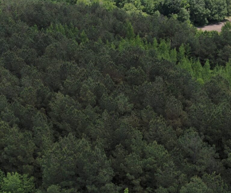 Untitled design(122)