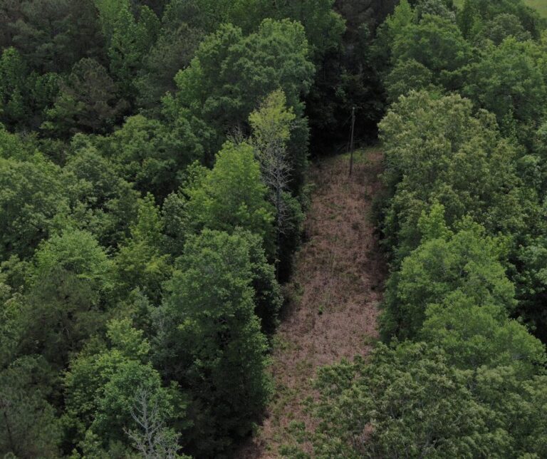 Untitled design(123)