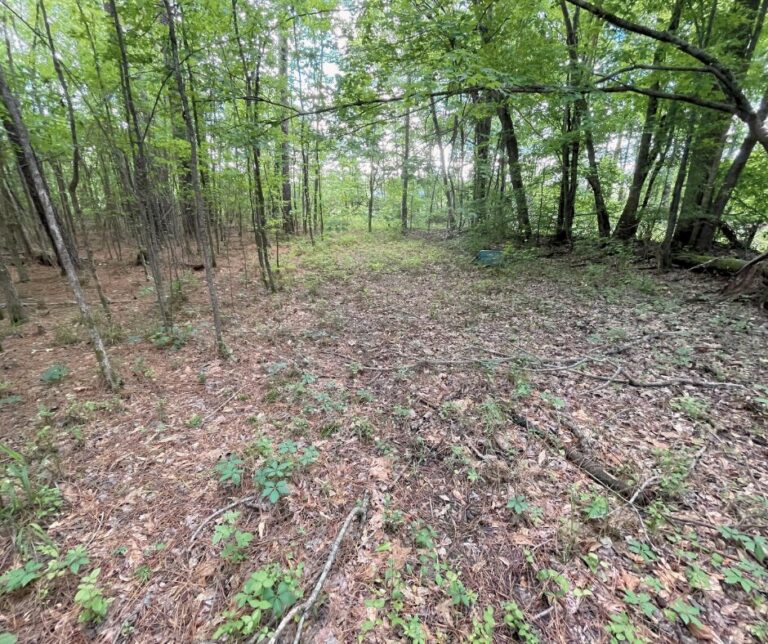 Untitled design(126)