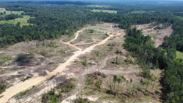 DCIM101MEDIADJI_0986