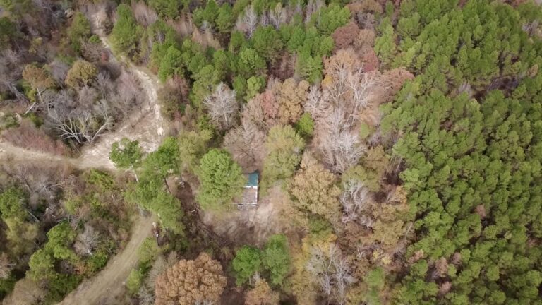 2025-11-17-12-14-39-842