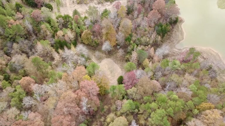 2025-11-17-12-16-38-454