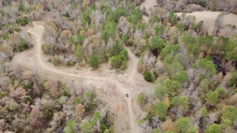 2025-11-17-12-18-06-155