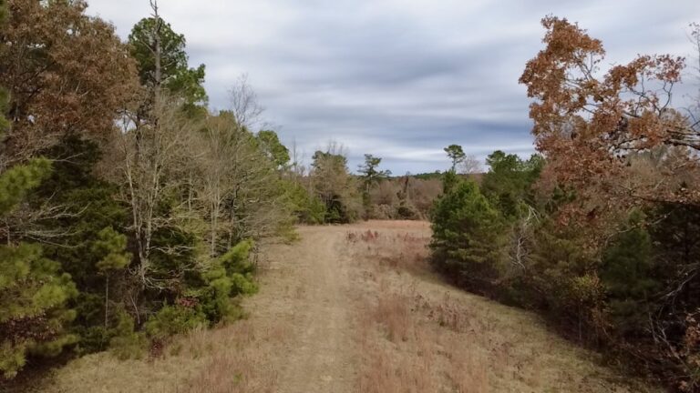 2025-11-17-12-20-32-919