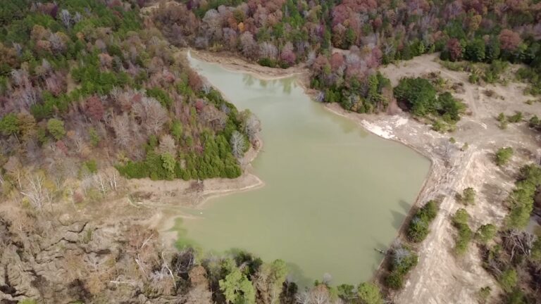 2025-11-17-12-21-44-886