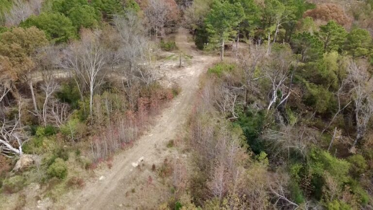 2025-11-17-12-24-30-454