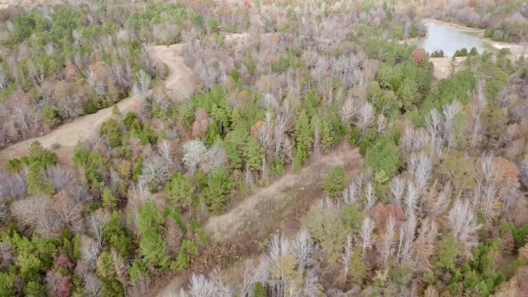 2025-11-17-12-34-15-380