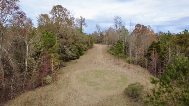 2025-11-17-12-35-34-772