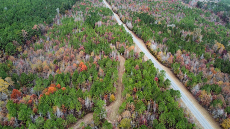 DCIM102MEDIADJI_0195