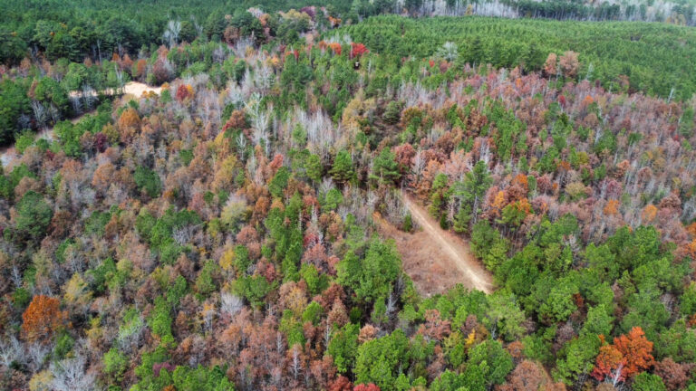 DCIM102MEDIADJI_0190