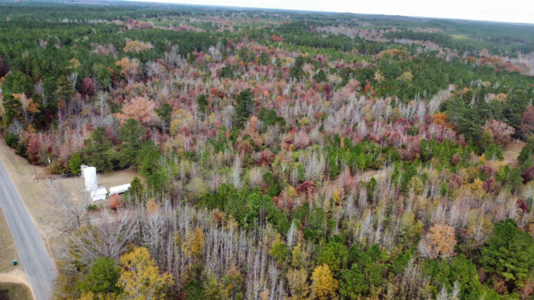 DCIM102MEDIADJI_0202