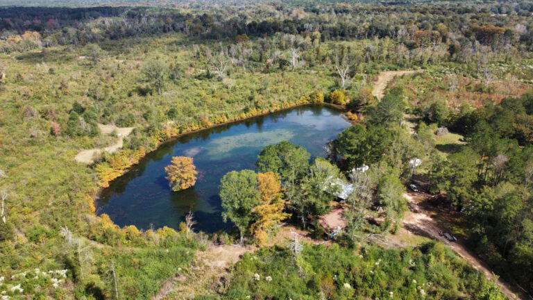 DCIM102MEDIADJI_0156