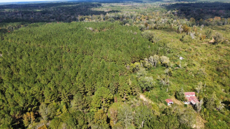 DCIM102MEDIADJI_0158