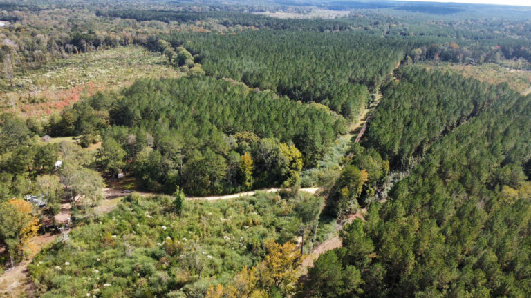 DCIM102MEDIADJI_0159