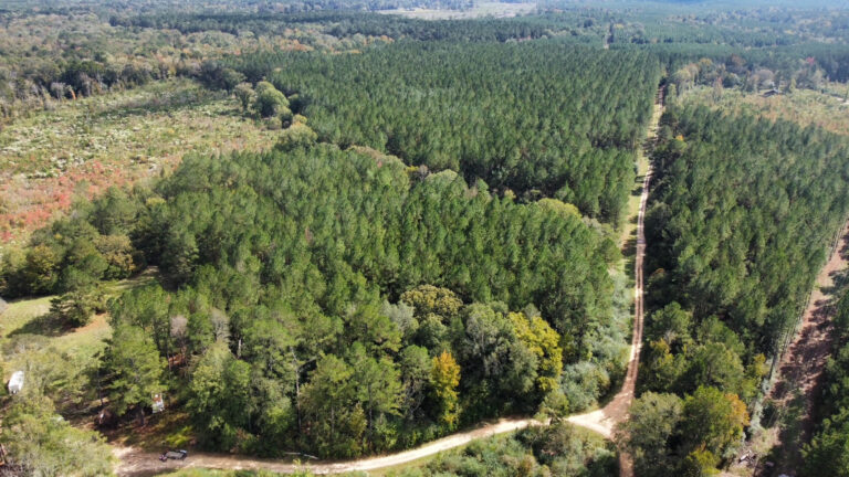 DCIM102MEDIADJI_0160