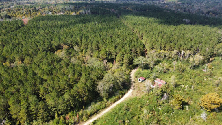 DCIM102MEDIADJI_0161