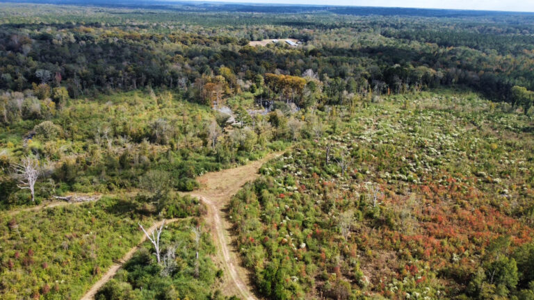 DCIM102MEDIADJI_0162