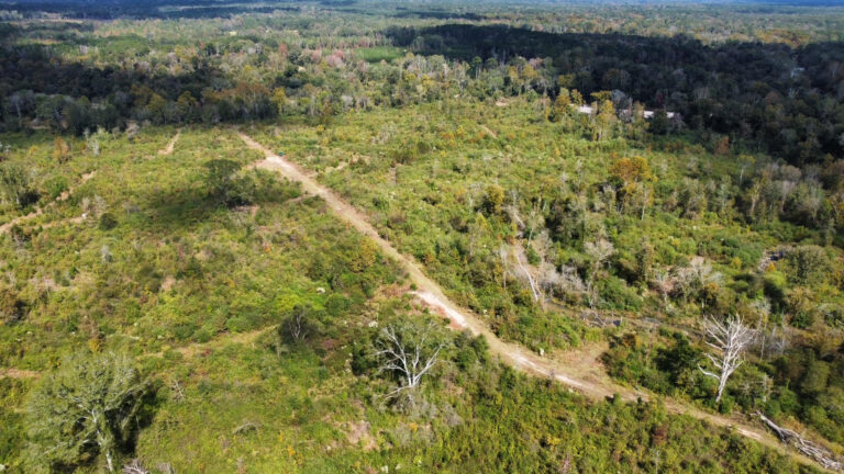 DCIM102MEDIADJI_0163