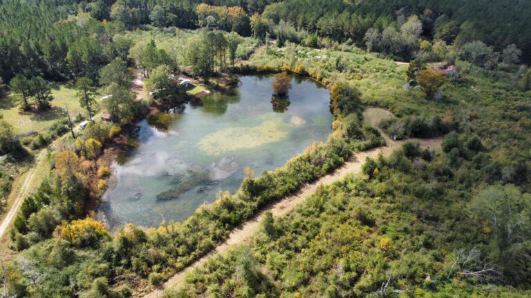 DCIM102MEDIADJI_0164