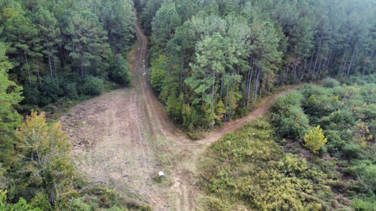 DCIM102MEDIADJI_0165