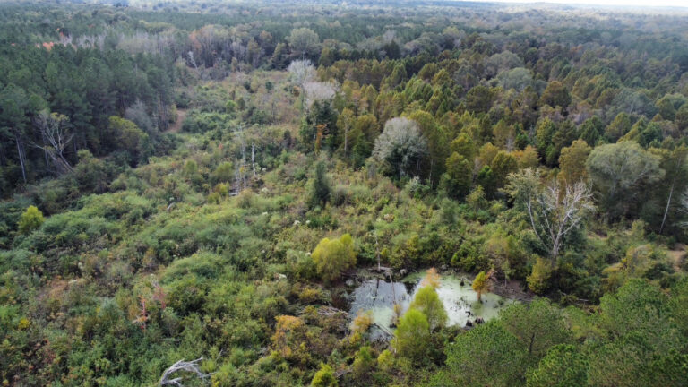 DCIM102MEDIADJI_0166