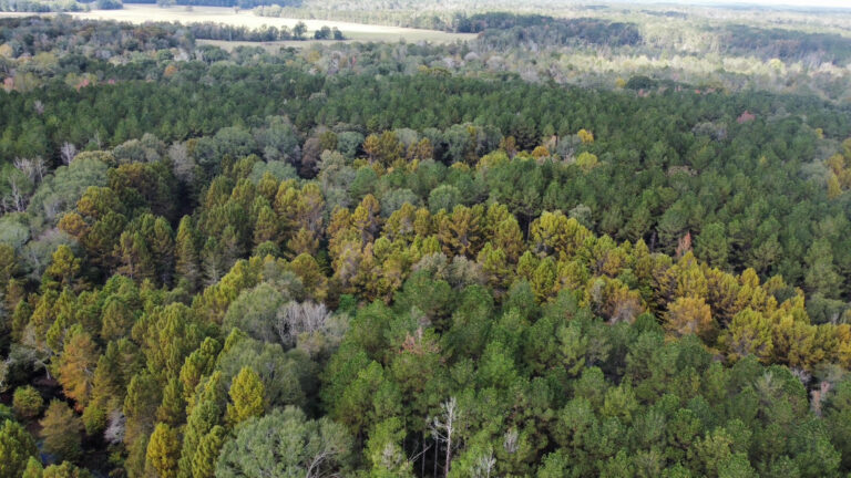 DCIM102MEDIADJI_0167