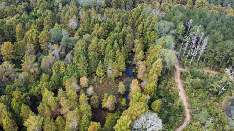 DCIM102MEDIADJI_0168