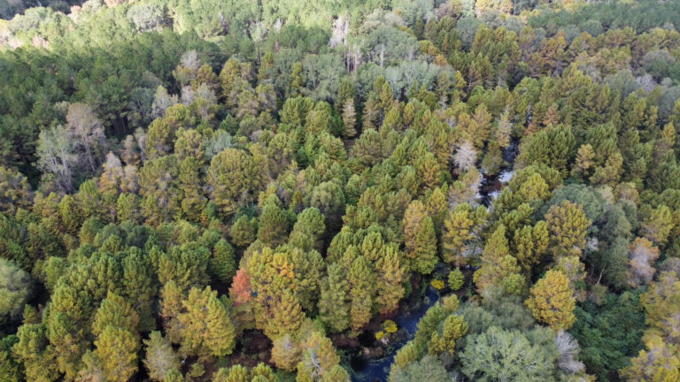 DCIM102MEDIADJI_0169